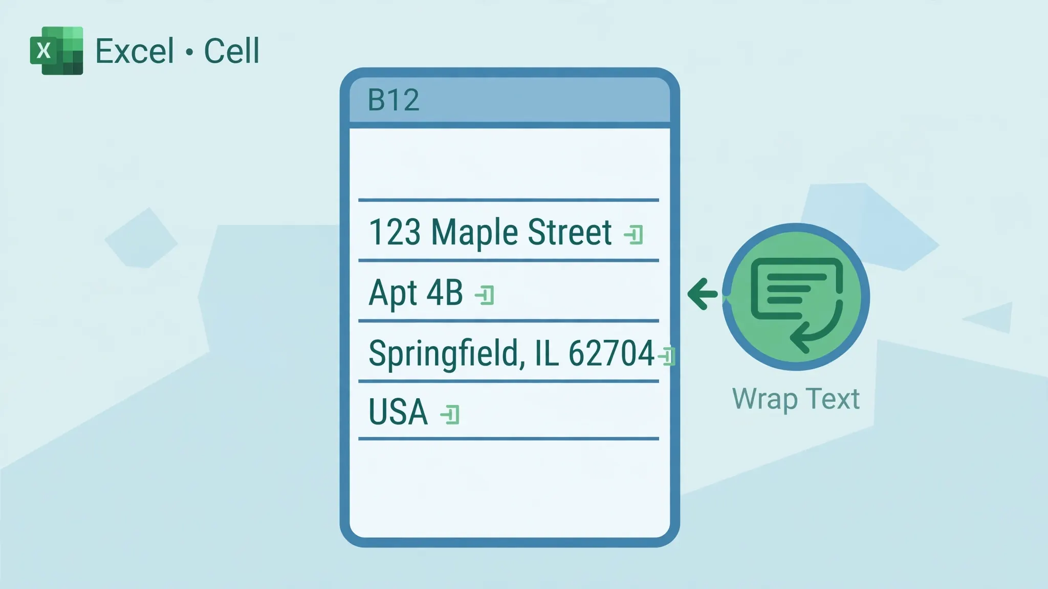 Excel cell showing stacked address lines separated by line breaks with Wrap Text enabled